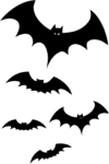 Bats picture